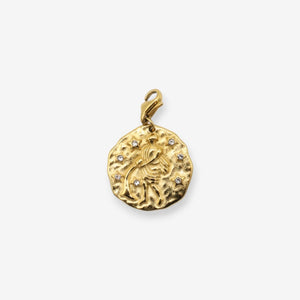 Sternzeichen Charms