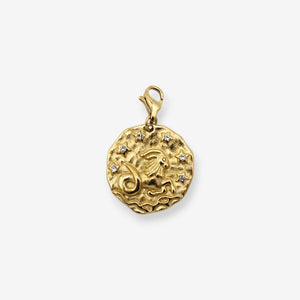 Sternzeichen Charms