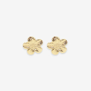 Branka