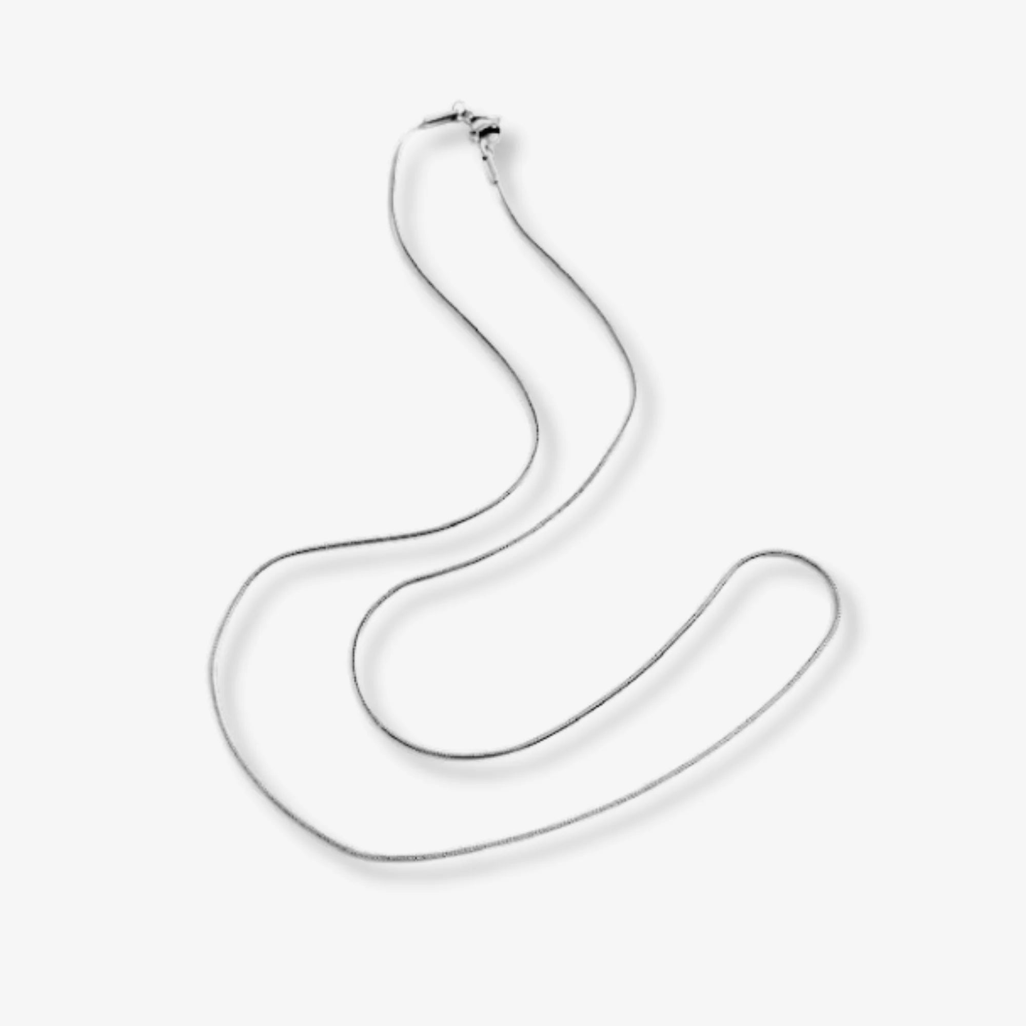 Glam Snake