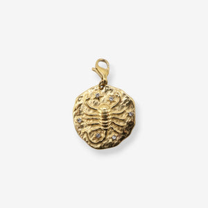 Sternzeichen Charms