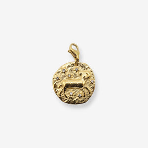 Sternzeichen Charms
