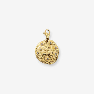 Sternzeichen Charms