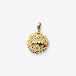 Sternzeichen Charms